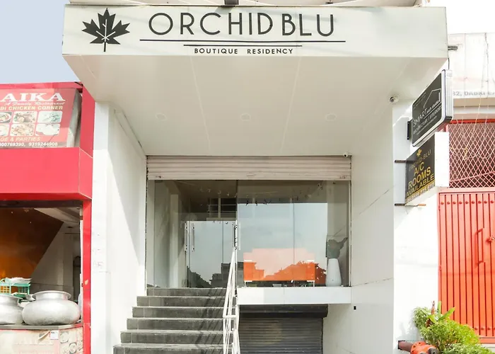 Hotel O Orchid Blu New Delhi
